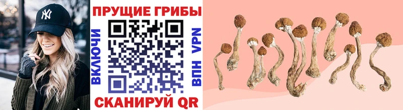 Псилоцибиновые грибы Magic Shrooms  Омутнинск 